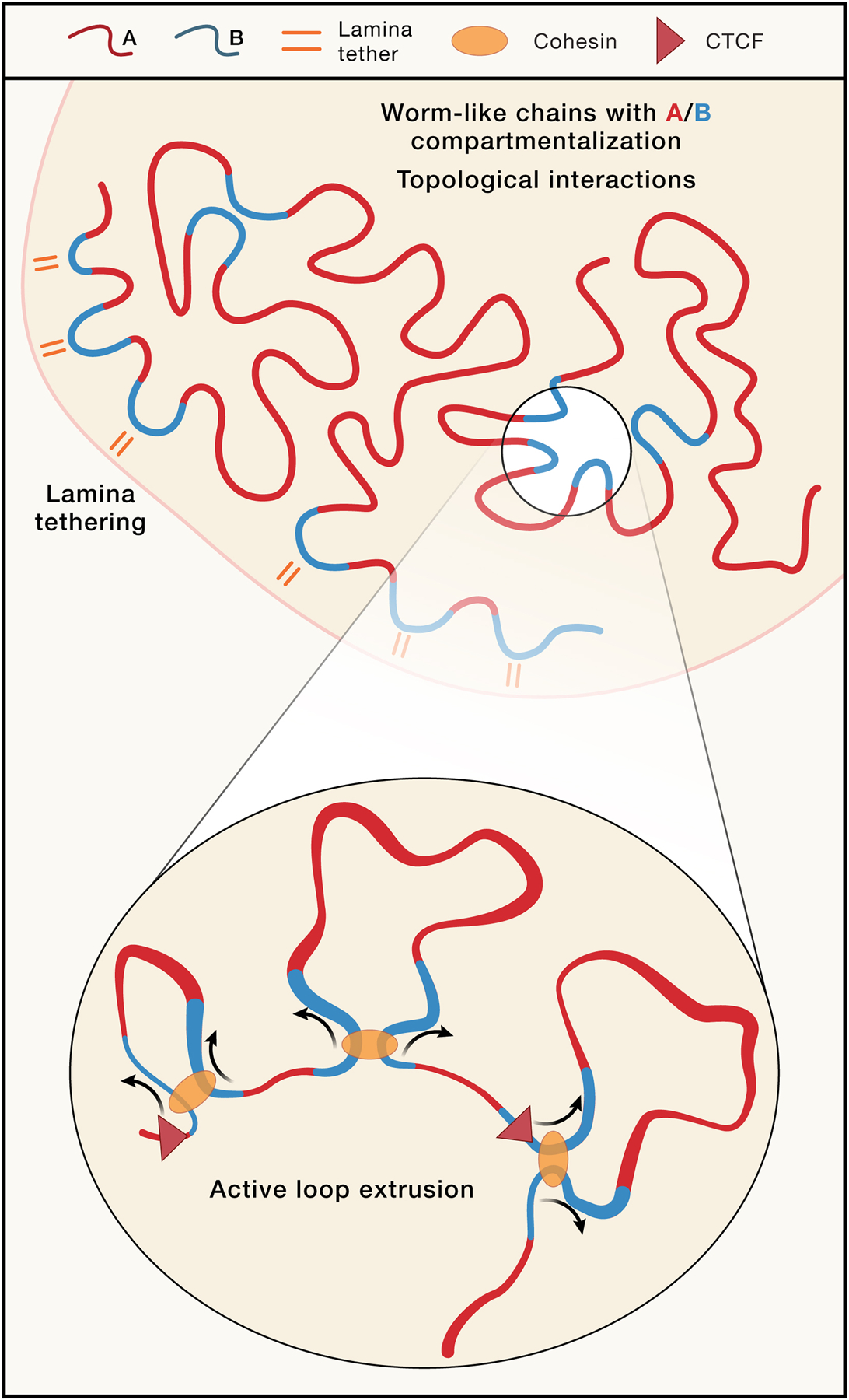 Figure 5: