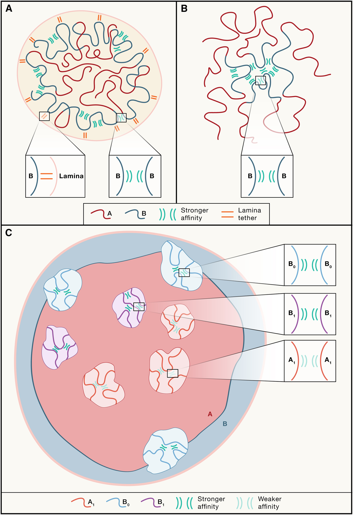 Figure 2: