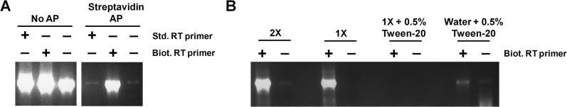 Fig 5