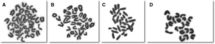 Fig. 3