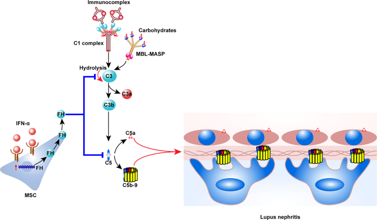 Unlabelled Image