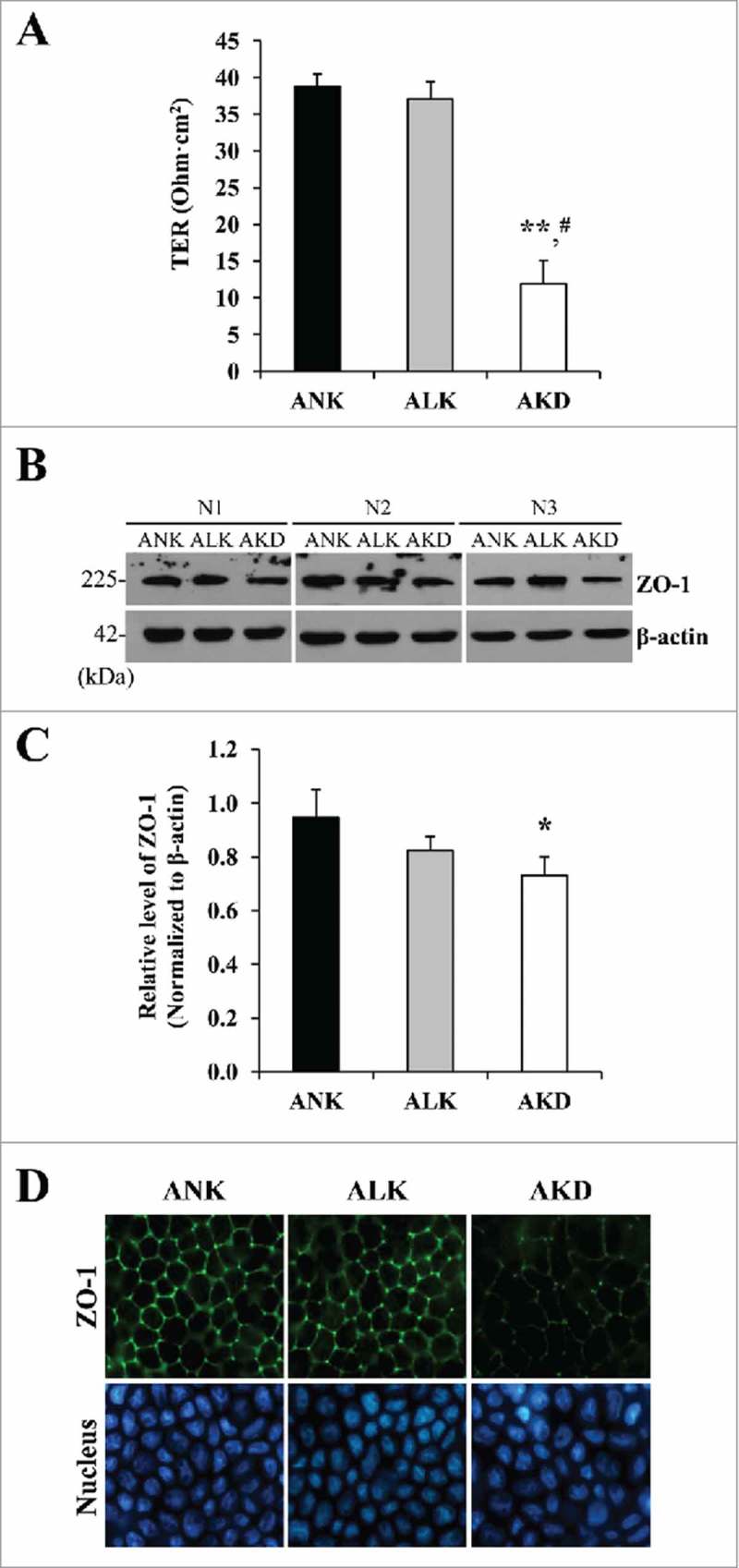 Figure 5.