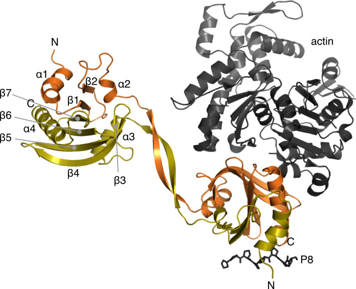 Fig. 3