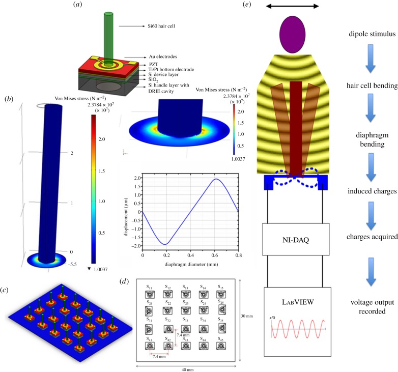 Figure 3.