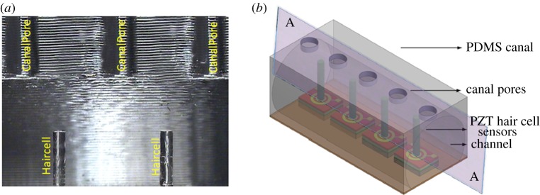 Figure 12.