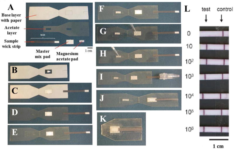 Fig. 6