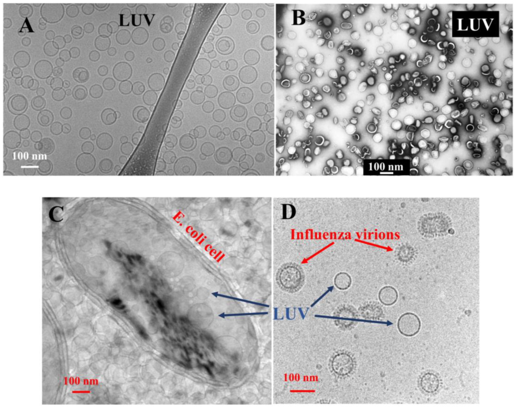 Figure 7.