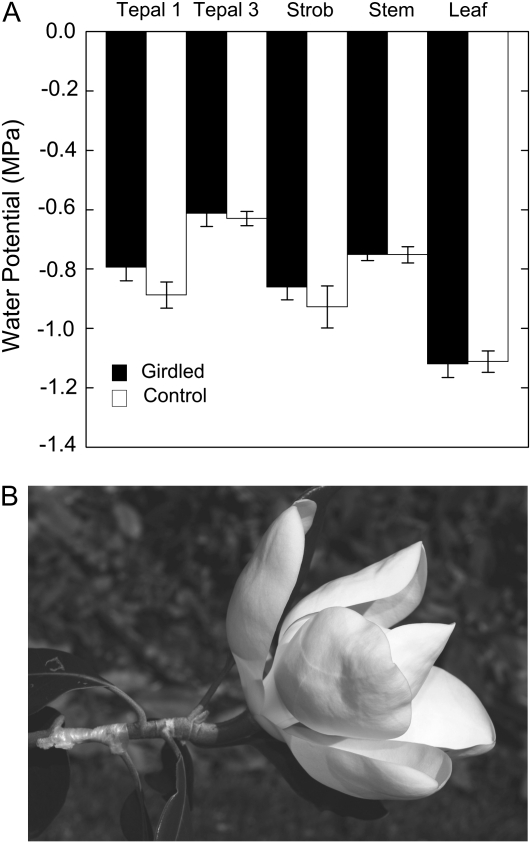 Figure 5.