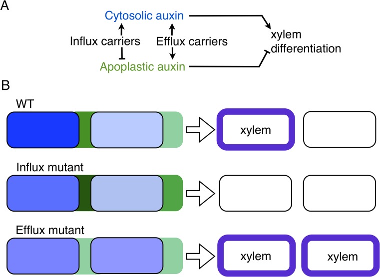 Fig 6