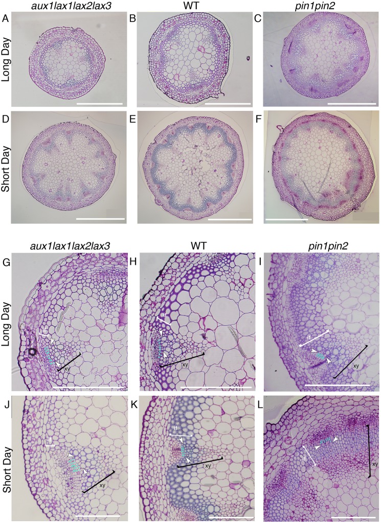 Fig 4