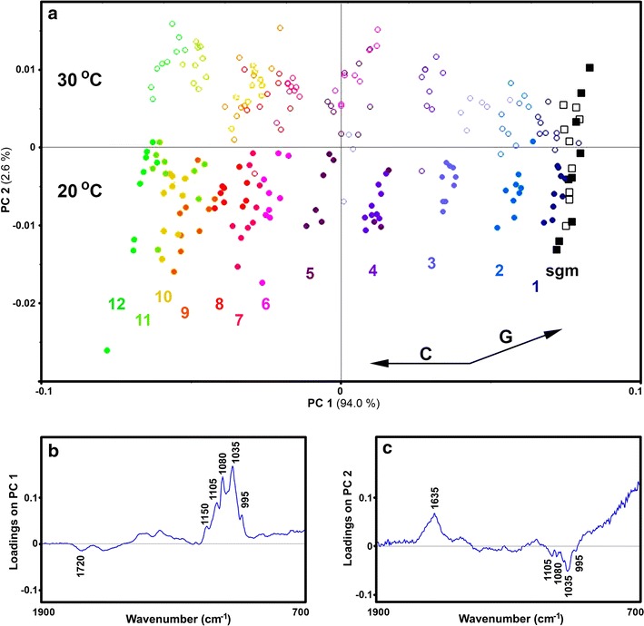 Fig. 3