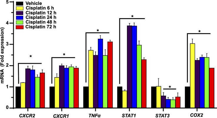 Figure 3