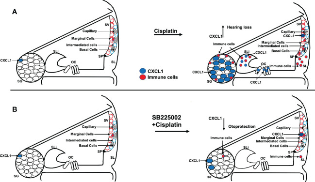 Figure 12