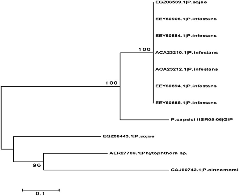 Fig. 3