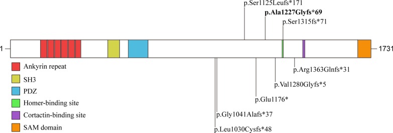 Fig. 2