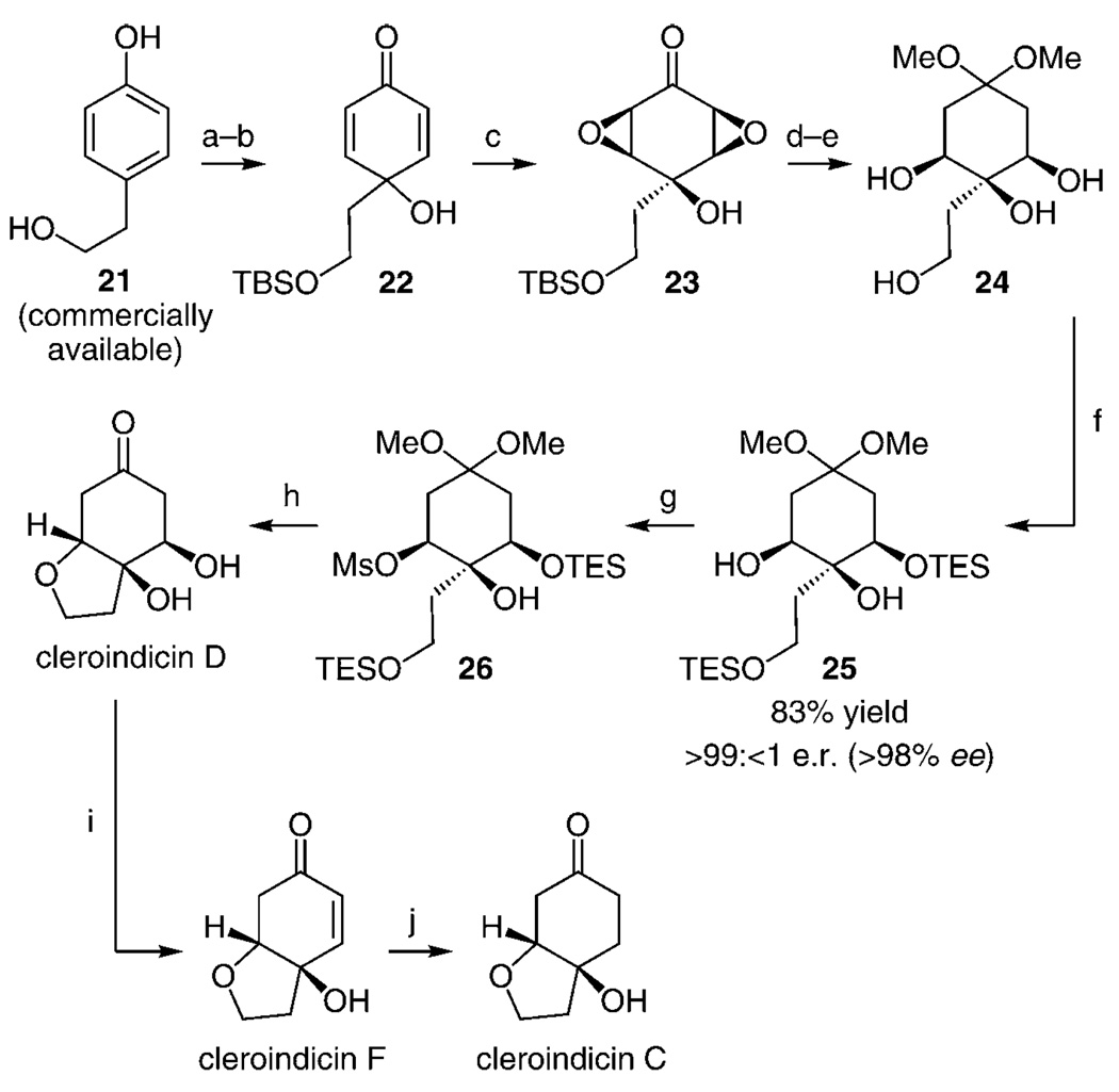 Scheme 3