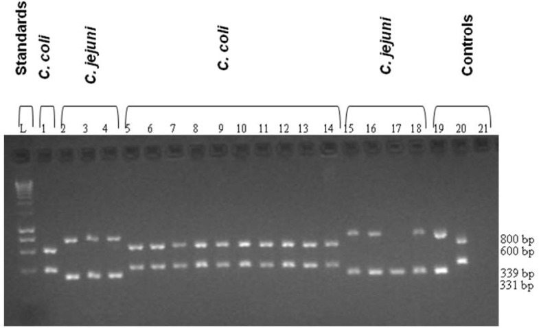 Figure 2: