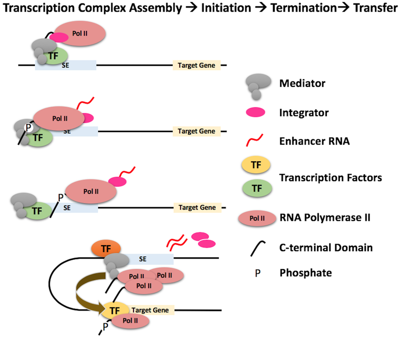 Figure 1: