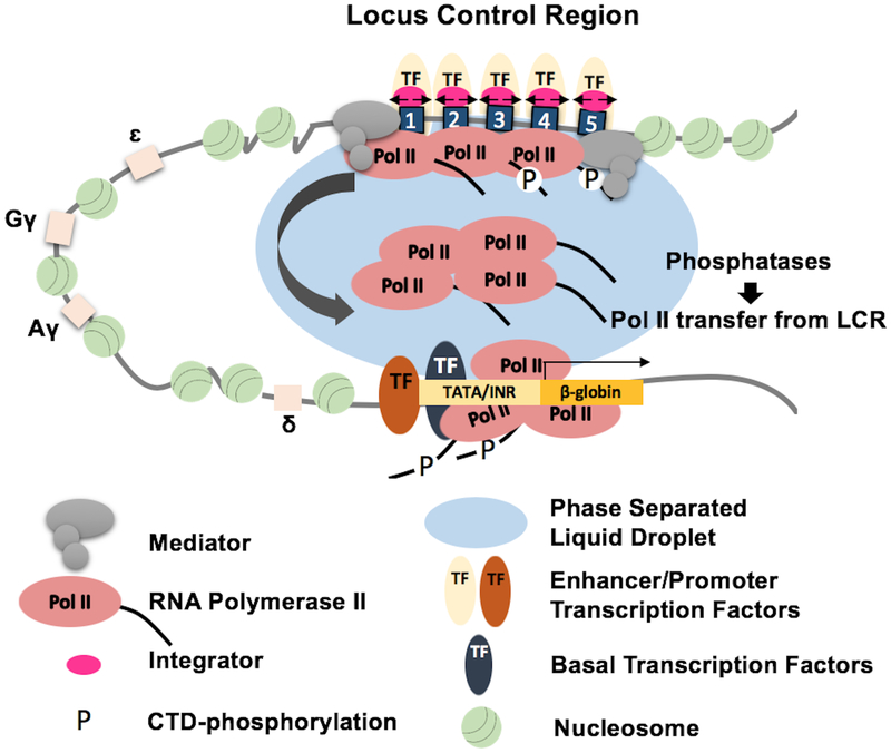 Figure 2: