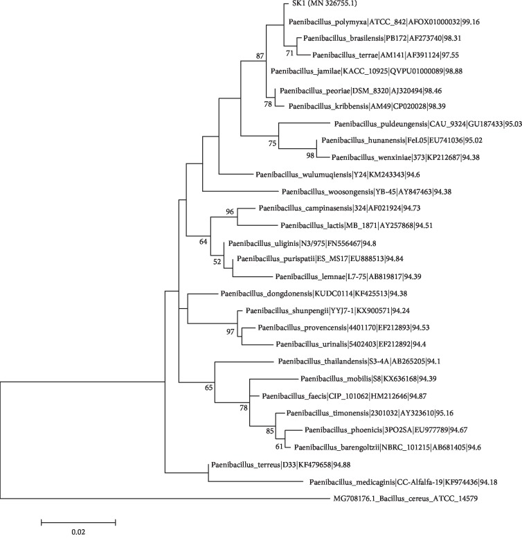 Figure 2