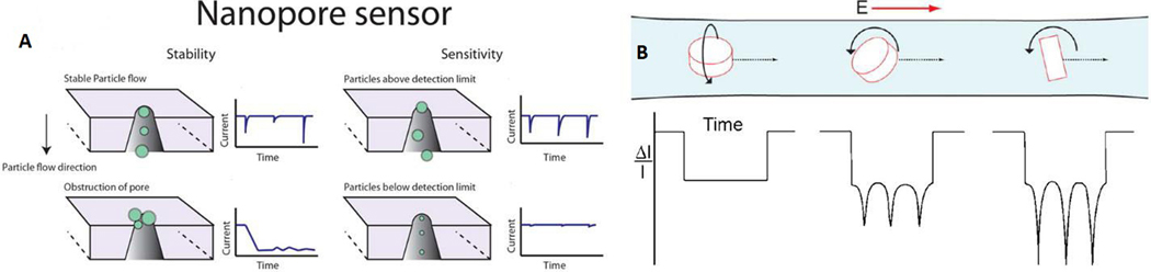 Figure 10.