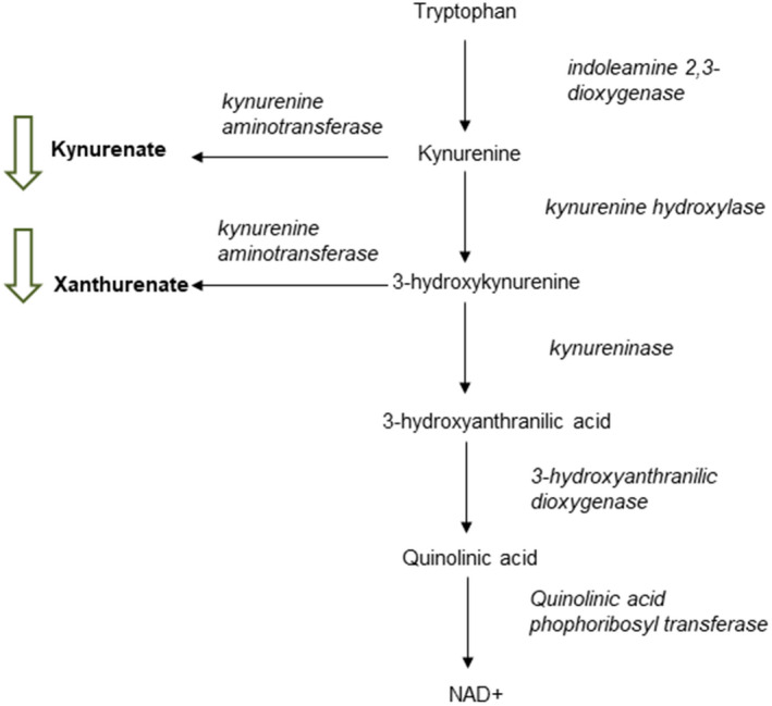 FIG. 6