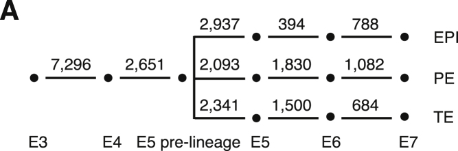 graphic file with name figs4ao.jpg