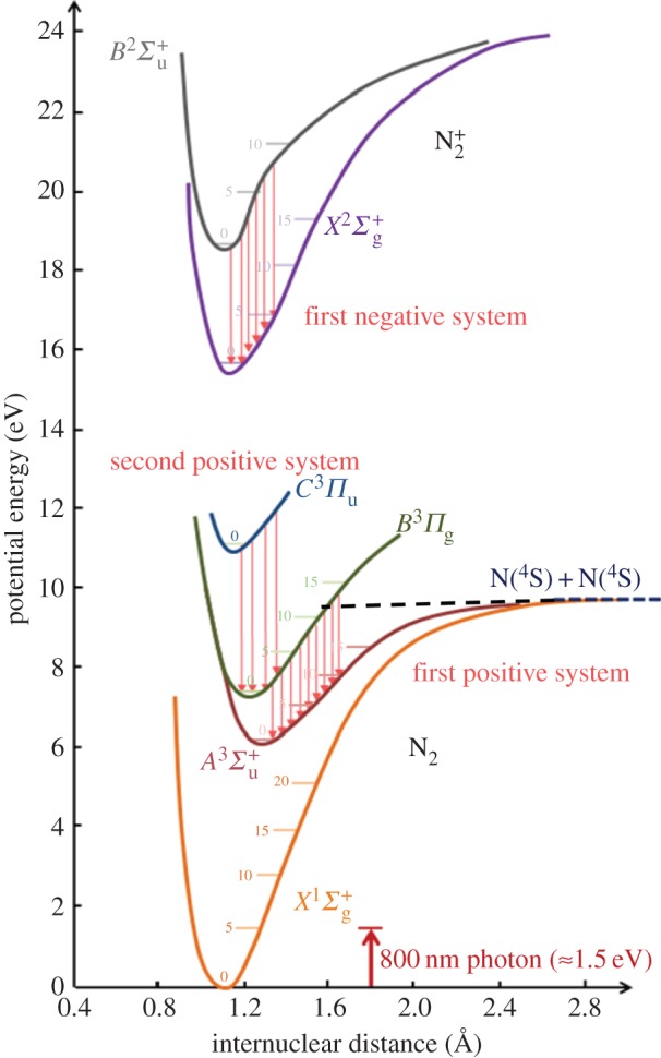 Figure 29.