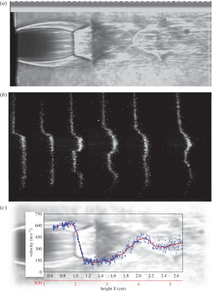 Figure 35.