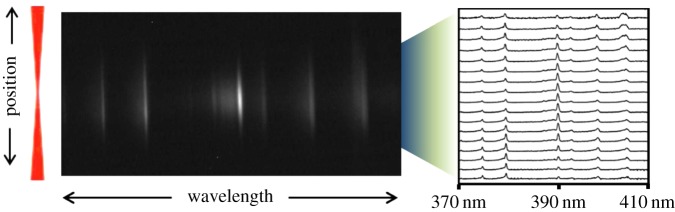 Figure 33.