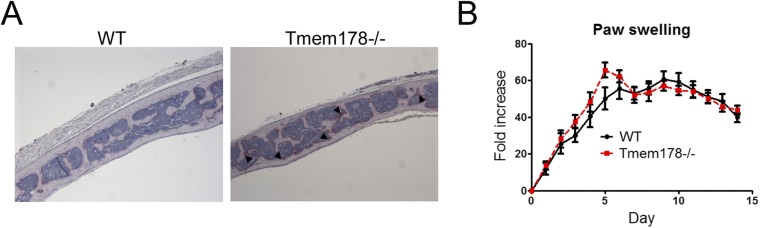 Fig. S6.