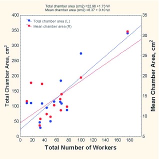 Figure 21. 