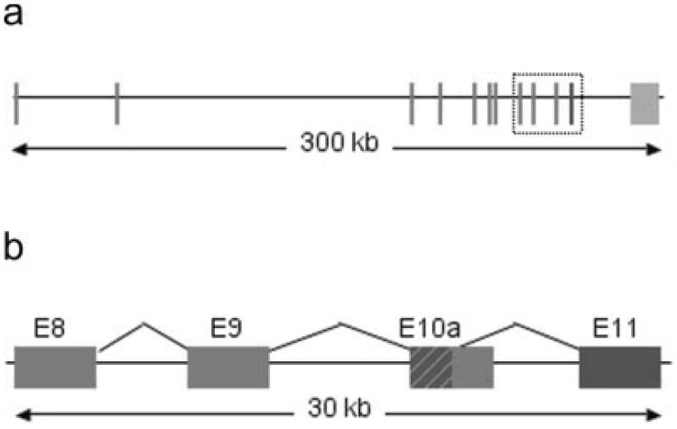 FIG. 3