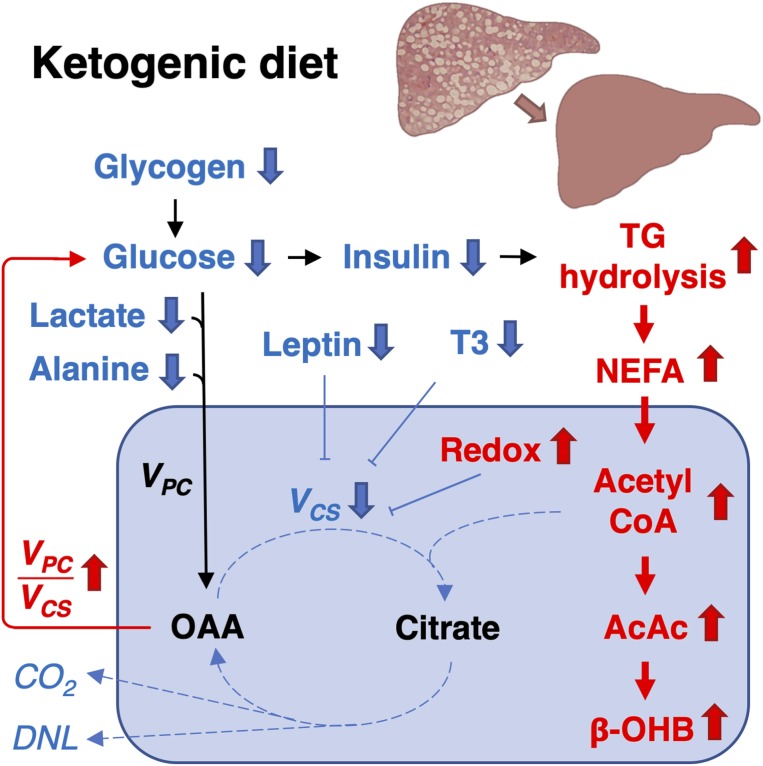 Fig. 7.