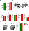 Figure 1—figure supplement 1.