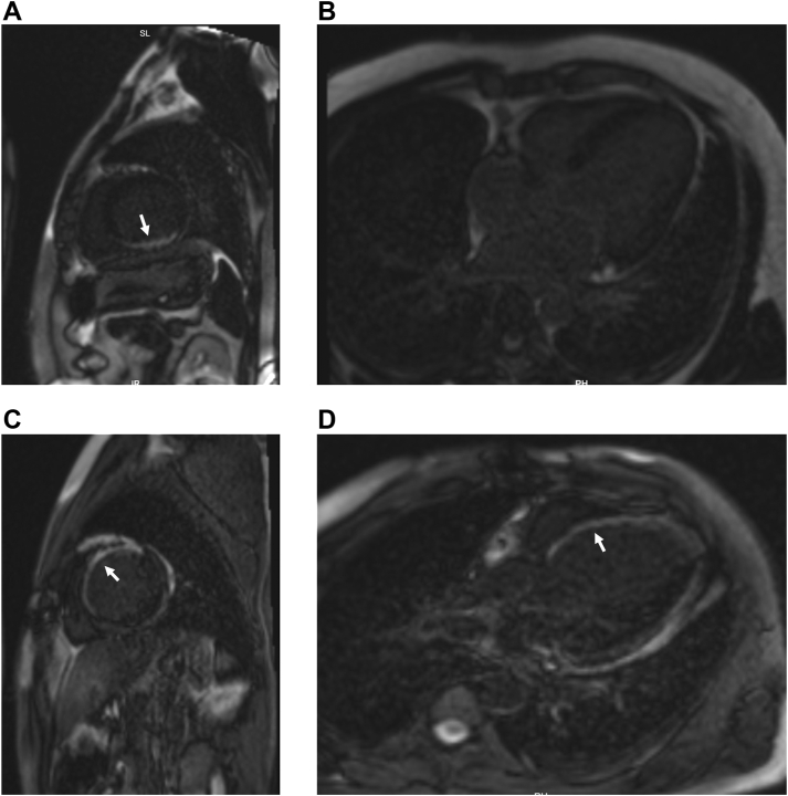 Figure 4