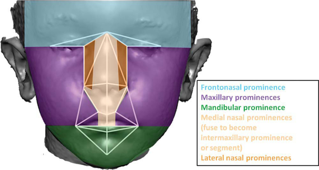 Fig. 6