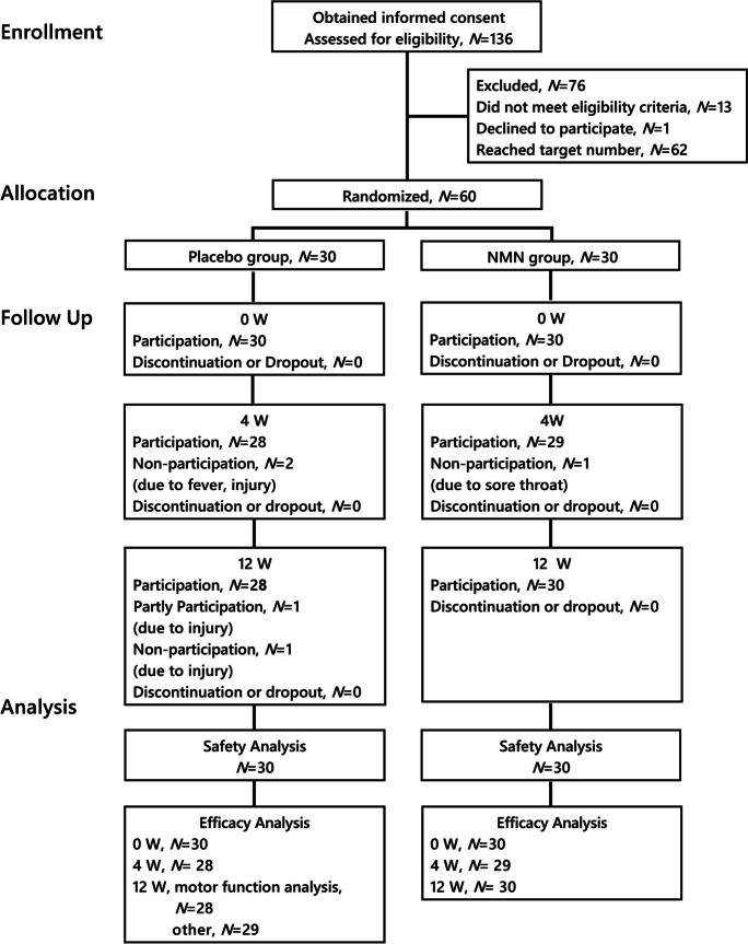 Fig. 1