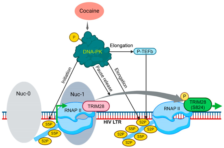 Figure 11