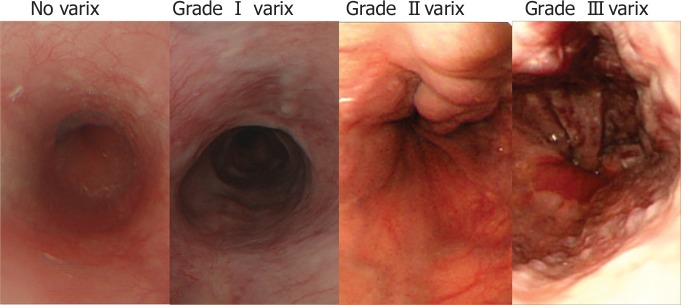 Figure 2: