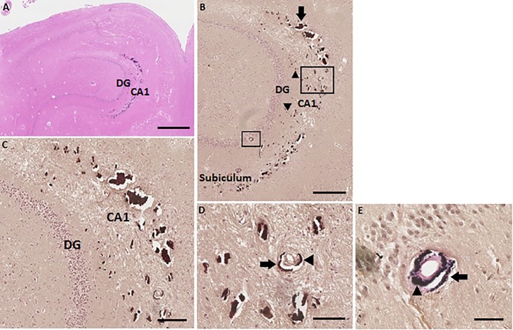 Fig 3