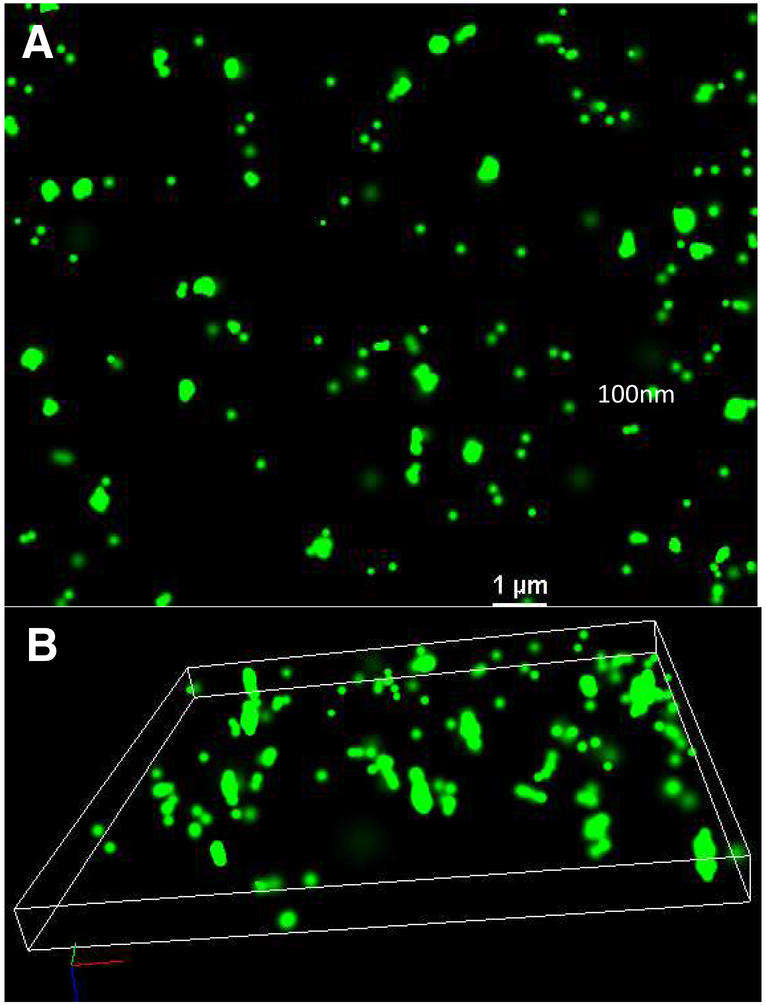 Fig. 7: