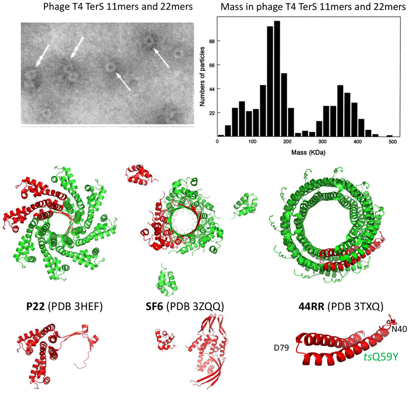 Fig. 2: