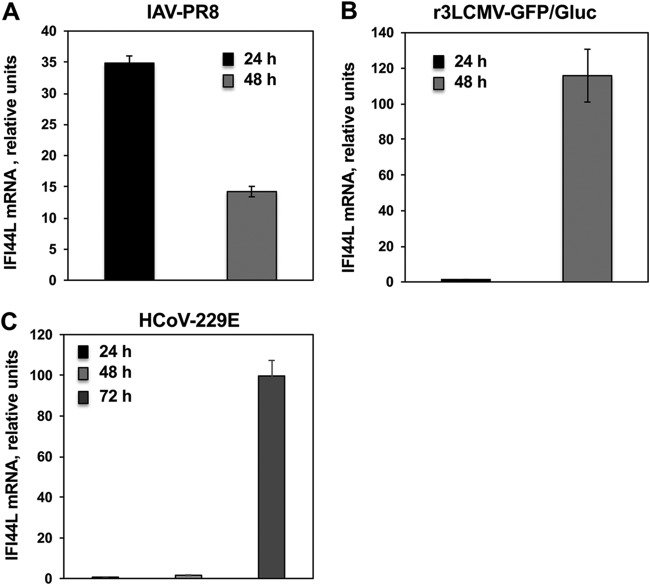 FIG 1