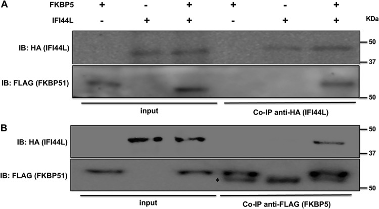 FIG 6