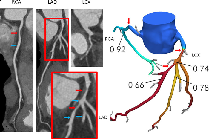 Figure 3: