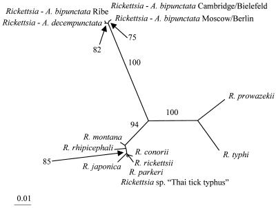 FIG. 1