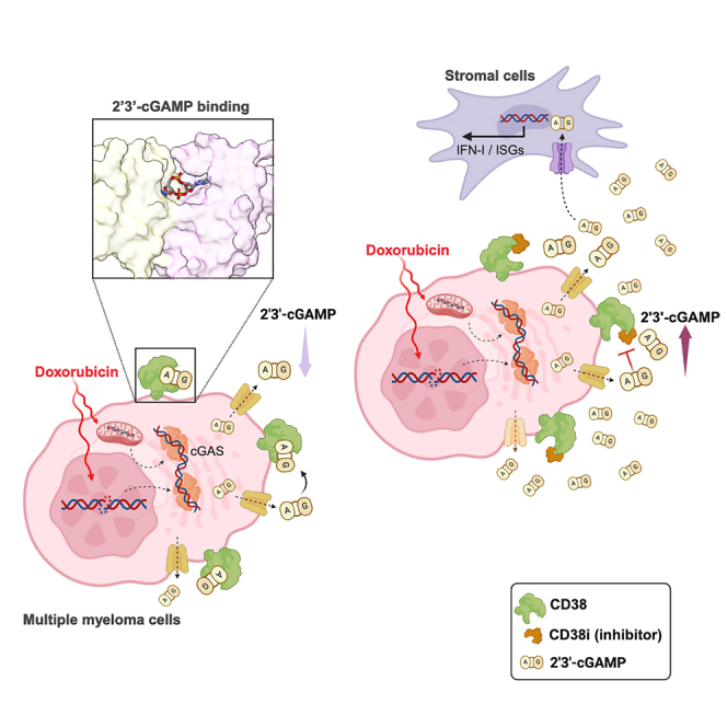 graphic file with name fx1.jpg