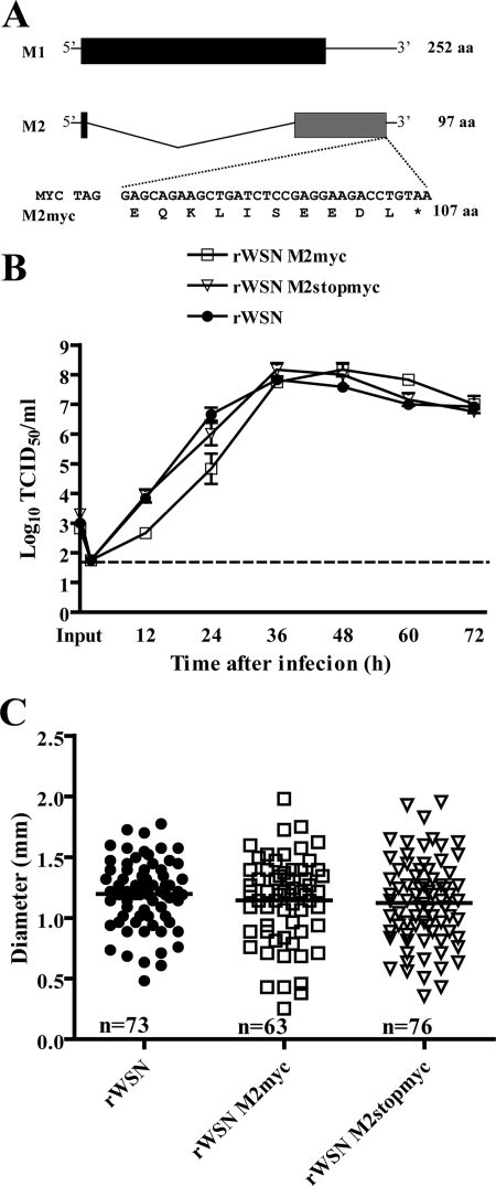 FIG. 1.