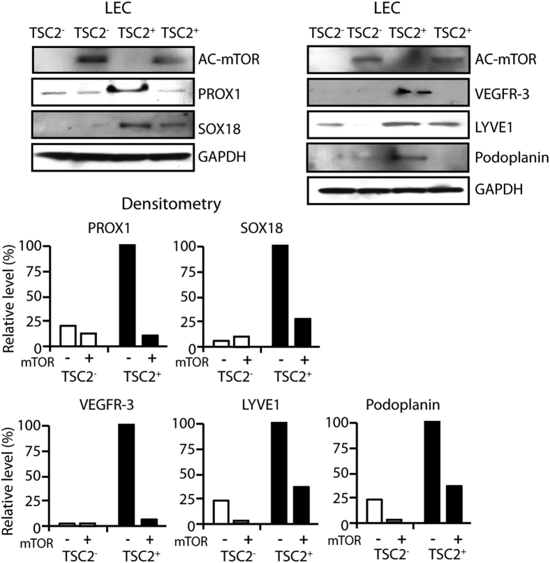 Figure 5